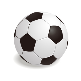 运动器材 体育运动 篮球 足球