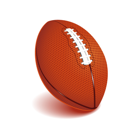 运动器材 体育运动 篮球 足球