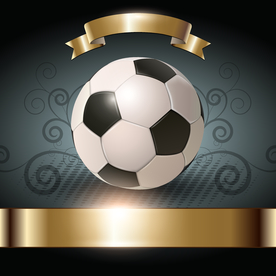 运动器材 体育运动 篮球 足球