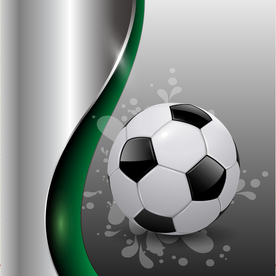 运动器材 体育运动 篮球 足球