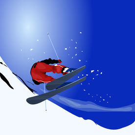 运动器材 体育运动 篮球 足球