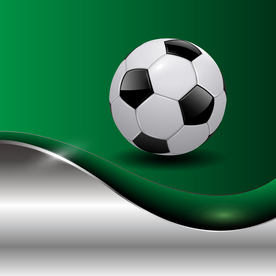 运动器材 体育运动 篮球 足球