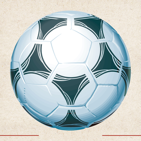 运动器材 体育运动 篮球 足球