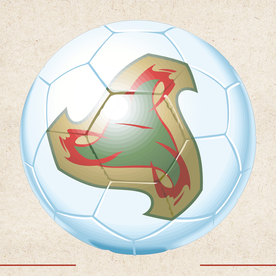 运动器材 体育运动 篮球 足球