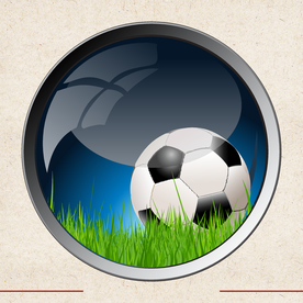 运动器材 体育运动 篮球 足球