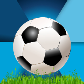 运动器材 体育运动 篮球 足球