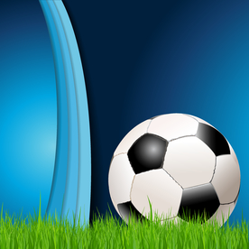 运动器材 体育运动 篮球 足球