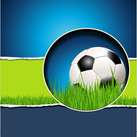 运动器材 体育运动 篮球 足球