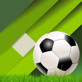 运动器材 体育运动 篮球 足球