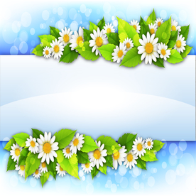 运动器材 体育运动 篮球 足球