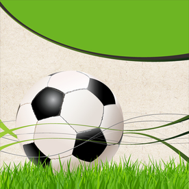 运动器材 体育运动 篮球 足球