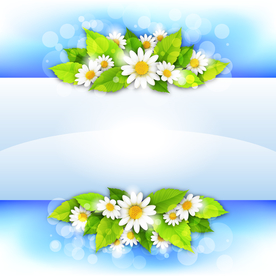 运动器材 体育运动 篮球 足球