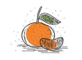 手绘橙子
