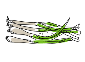 手绘葱
