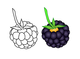 卡通黑树莓