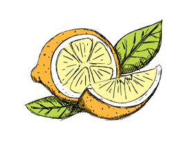 柠檬手绘