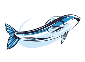 手绘鱼