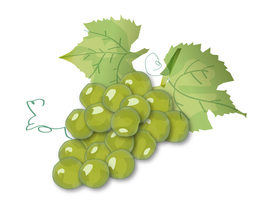 卡通葡萄
