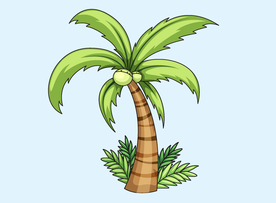 椰子树卡通