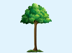 卡通树