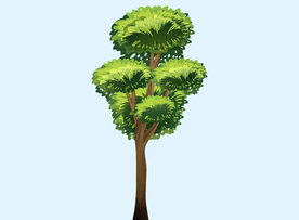 卡通树
