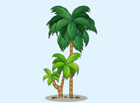 椰子树卡通