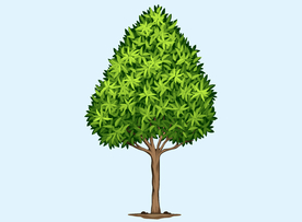 卡通树
