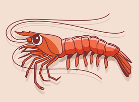 龙虾矢量