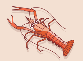 龙虾手绘
