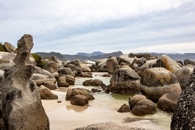 沙滩 海洋 大海 浪花 汹涌