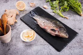 鱼美食食材餐饮合成背景素材