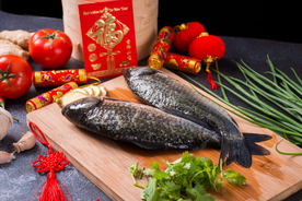 鱼美食食材餐饮合成背景素材