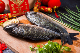 鱼美食食材餐饮合成背景素材