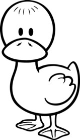 鸭