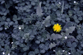 自然 肌理  摄影