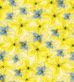 黄花