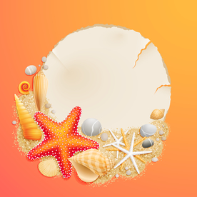 贝壳素材 海螺 海底贝壳 海底