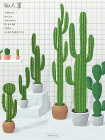 仙人掌插画