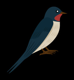 免扣燕子素材图片