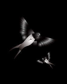 免扣燕子素材图片