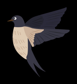 免扣燕子素材图片