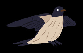 免扣燕子素材图片