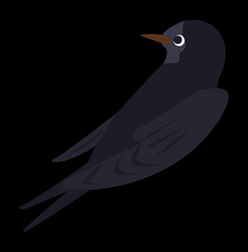 免扣燕子素材图片