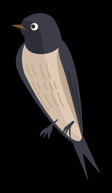 免扣燕子素材图片