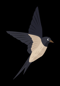 免扣燕子素材图片