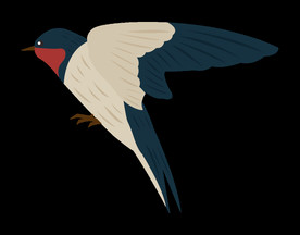 免扣燕子素材图片