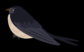 免扣燕子素材图片