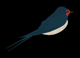 免扣燕子素材图片