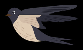 免扣燕子素材图片