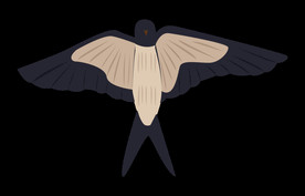 免扣燕子素材图片